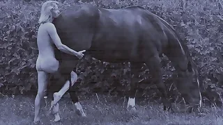 Sex Videos 0